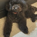 可愛がってくださる方