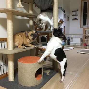 の写真