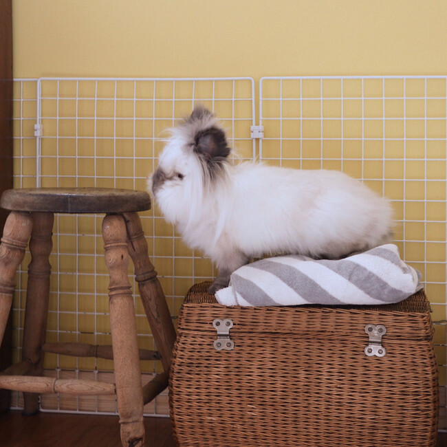331satukiのカバー写真