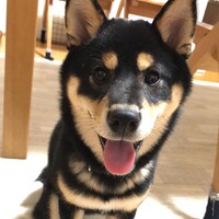 みな