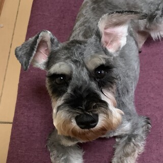 慣れると凄く元気な女の子♪