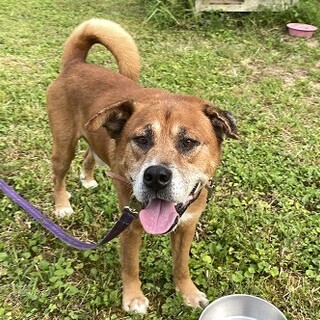 こうみえて甘えんぼう(^^ )タオくん