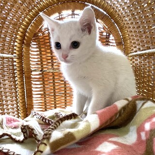 里親さま決まりました☆