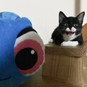 可愛いホクロがチャームポイント⭐️【みなと】