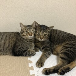 仲がいいのか悪いのか