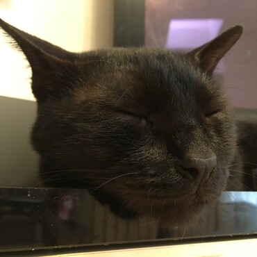 ねんね。