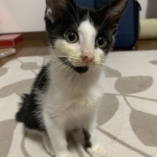 ありがとうございました★可愛いきららちゃん