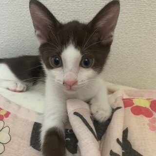 ありがとうございました★可愛いはまちゃん