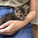 お膝大好き♡白血病、エイズ検査マイナス