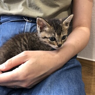 お膝大好き♡白血病、エイズ検査マイナス