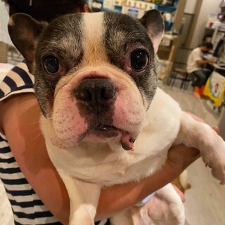 保護っこ♪キャサオ君♬里親絶賛募集中！