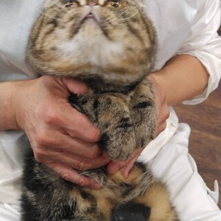 エキゾチックのじゅらく君