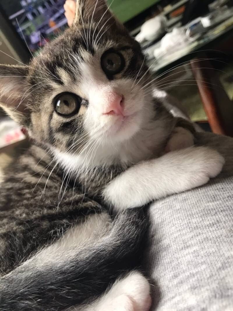 クリクリお目目♡アルくん サムネイル3