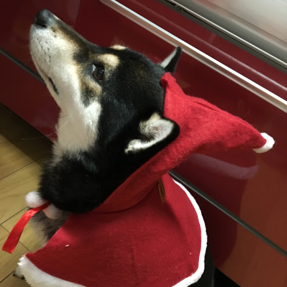 ルナのカバー写真