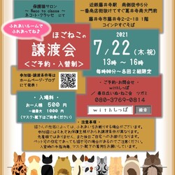 大阪藤井寺ほごねこの譲渡会