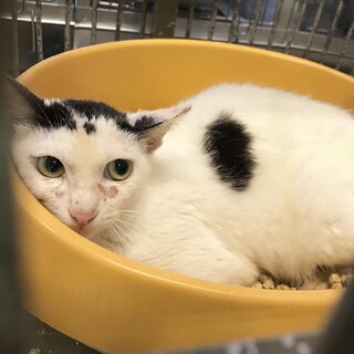 安心して暮らせる居場所がありませんでした