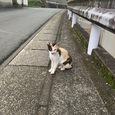 また来てくれてありがとう