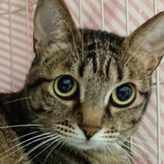 とっても懐っこい甘えたナナちゃん❣️
