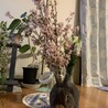 うさぎ　ネザーランドドワーフ　里親さん探し サムネイル4