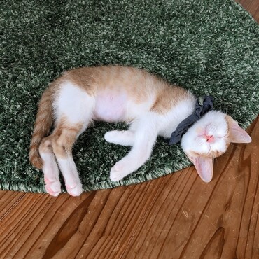 のんびり♡