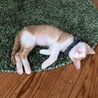 のんびり♡