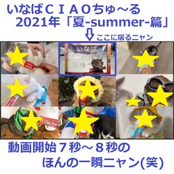 いなばCIAOちゅーる2021夏TVCM放送中