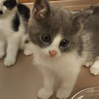 仲良し☆２匹一緒♪