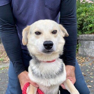 譲渡されました！！