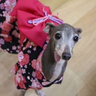 ばぁちゃん　推定７才