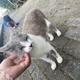 可愛い顔の男の子