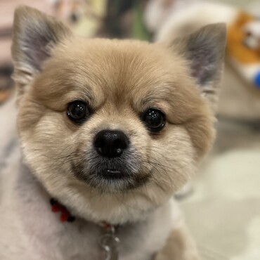 カットしました❤️