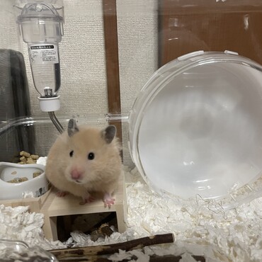 の写真