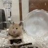 の写真