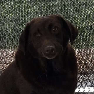 ☆❣️家族が決まりました❣️☆