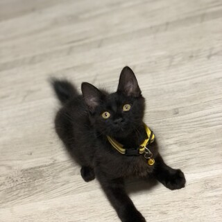 2ヶ月過ぎの男の子