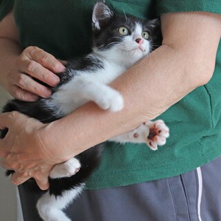 超々甘えん坊のケーシーくん