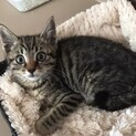 本当に人懐こくてあまえんぼうな良い子です！