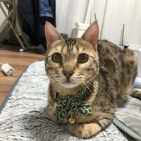 ジル