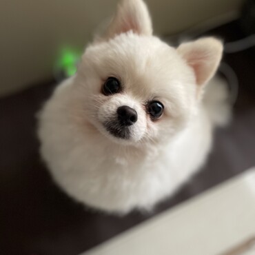 の写真