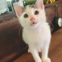 ４ヶ月⭐️男の子