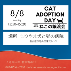 ◌名古屋市守山区◌猫の譲渡会