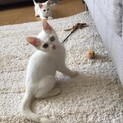 ずっとのおうちがみつかりました(^^)