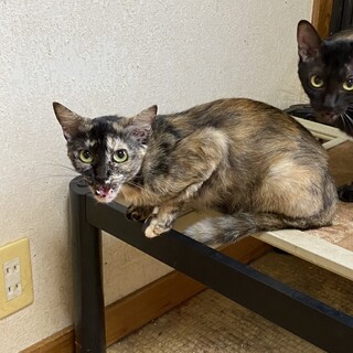 愛嬌たっぷり♡いそまる