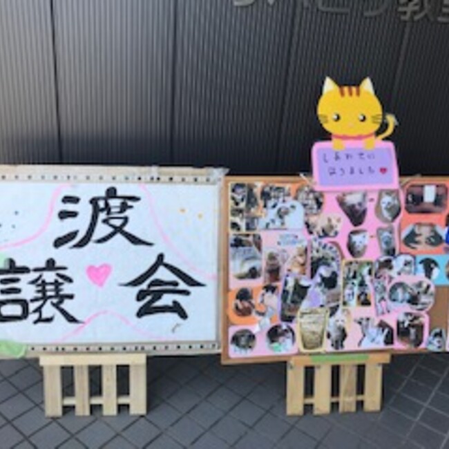 チームすず猫のカバー写真