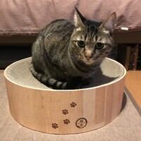 としかつ