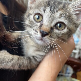 素敵な里親様が見つかりました