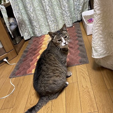 あたちは元気♡