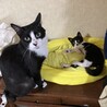 少しづつ
