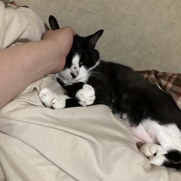 ゆっくり生えてきたね