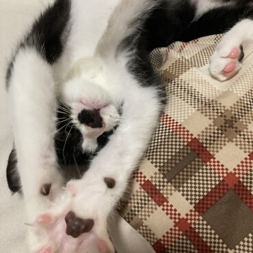 お医者さんに大きくなったねーって言われたね！